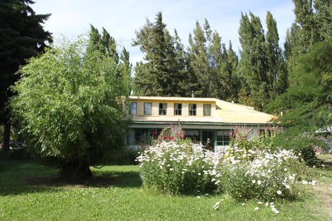 Property building, Day, Garden