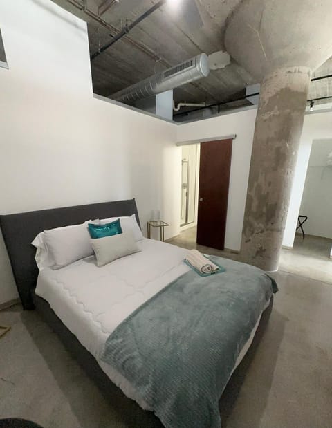 Luxury Cozy Loft Downtown STL Condo in Saint Louis