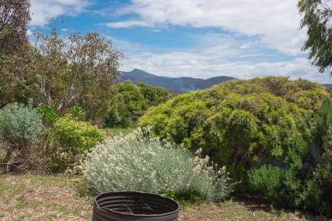 Blue Lagoon Coastal Retreat - Falmouth House in Tasmania