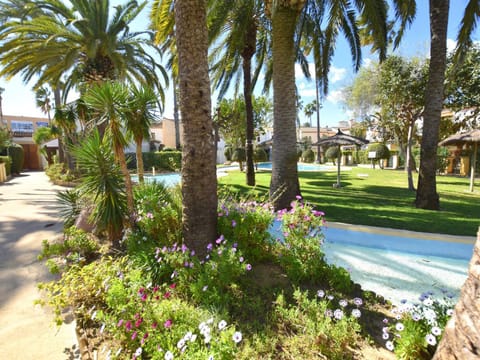 Garden, Swimming pool