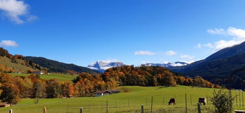 Vorderponholz Ferienwohnungen Condo in Berchtesgadener Land
