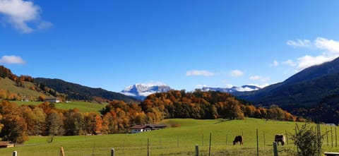 Natural landscape, Hiking, Mountain view