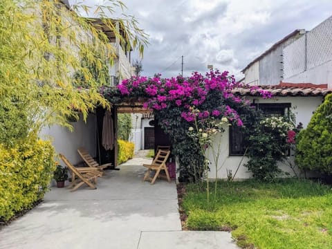 Property building, Patio, Spring, Day, Garden, Garden view