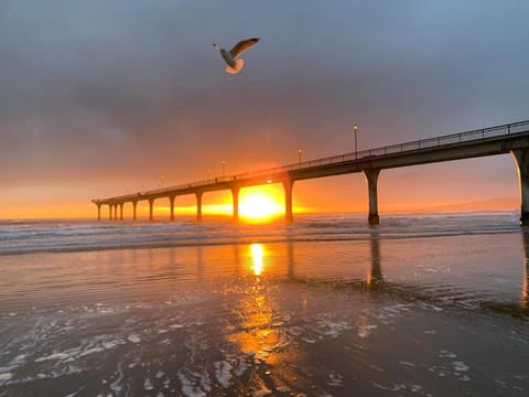 Beach, Garden view, Sea view, Sunrise