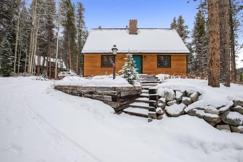 Regal Chalet Blue River Cabin Close to Breck House in Blue River