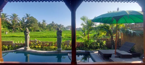 Balcony/Terrace, Pool view