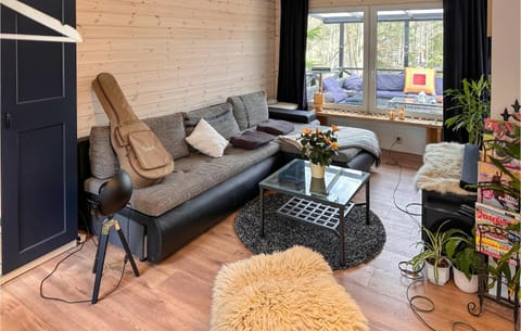 Stunning Home In rkelljunga With Wifi And 1 Bedrooms House in Skåne County