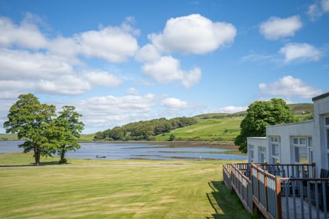 Natural landscape, Garden, Garden view, River view