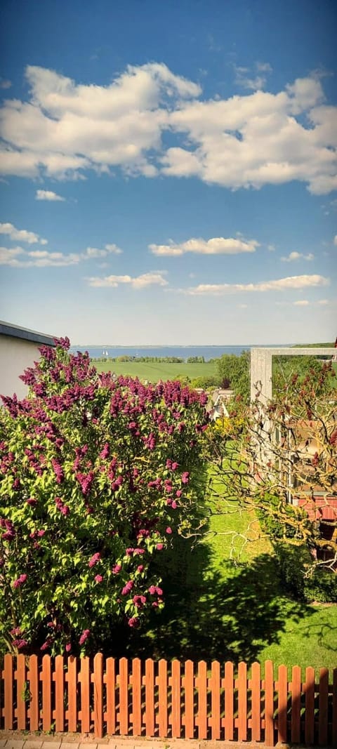 Spring, Natural landscape