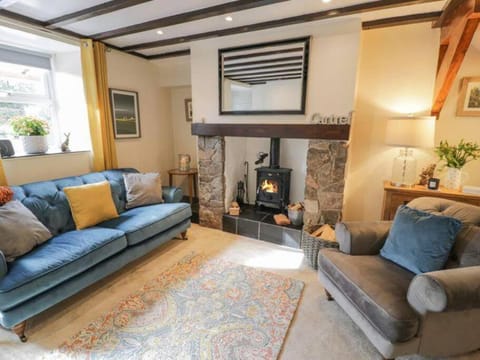 Cosy 19th C Cottage, Nr Betws-Y-Coed, Snowdonia House in Bro Garmon