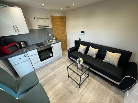 Cheviot loft Apartment in London Borough of Camden