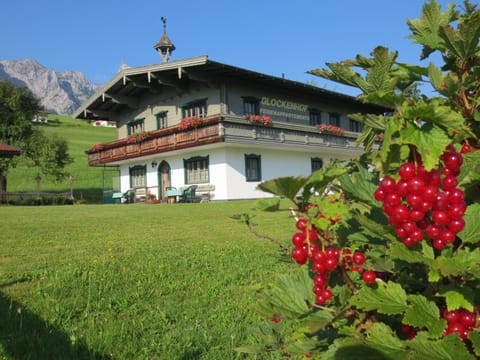 Facade/entrance, Garden