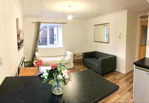 Privite 2 bedrooms flat Canada Water Apartment in London Borough of Southwark