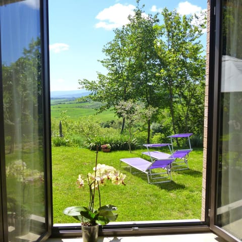 Natural landscape, Garden view, sunbed