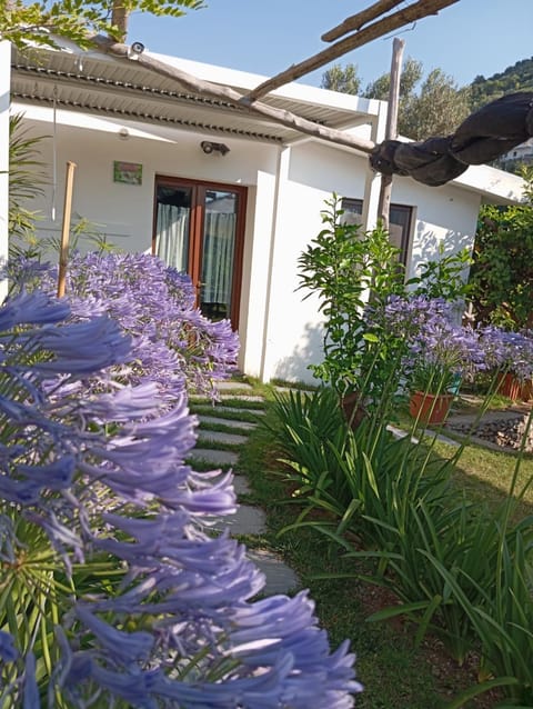 Casa Mia House in Ravello