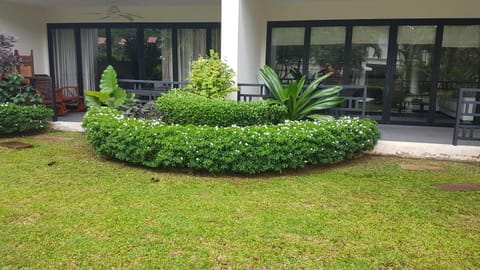 Garden, Balcony/Terrace