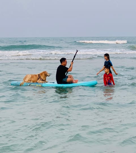 People, Natural landscape, Beach, Animals, Pets