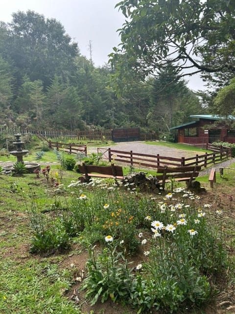 Curuba Lodge Nature lodge in Cartago Province, Costa Rica