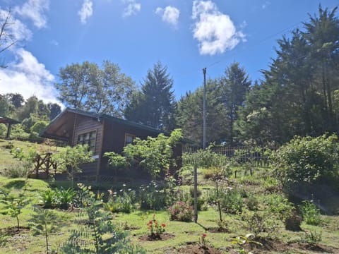 Curuba Lodge Nature lodge in Cartago Province, Costa Rica