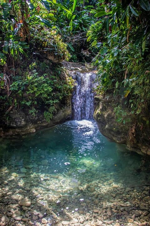 The Hamilton's Nature Villa Villa in St. Ann Parish