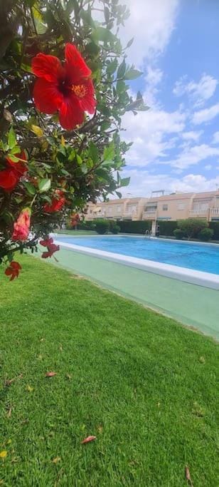 Bungalow avec piscine House in Torrevieja