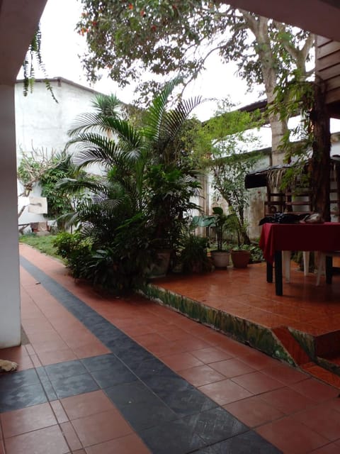 La Casa Del Arbol Bed and Breakfast in Olon