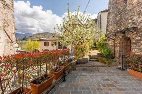 Villa Camelia Bianca Appartamento in Barga