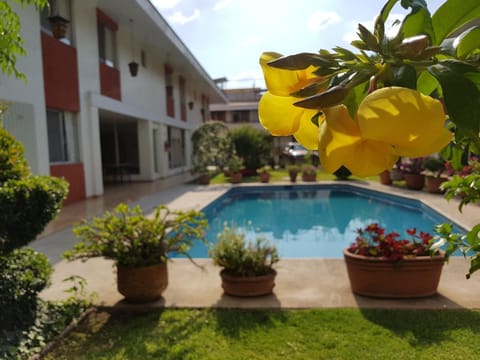 Patio, Garden, Swimming pool