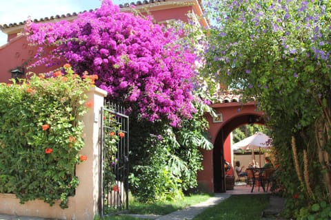 Patio, Spring