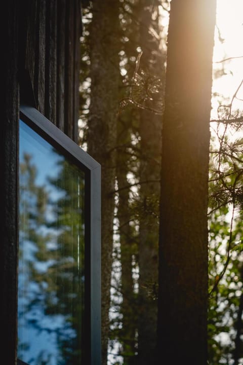 Black Spruce - Orange Door House in Whitehorse