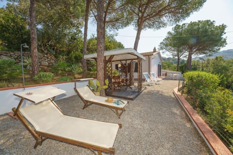 Natural landscape, Garden, Garden view, sunbed