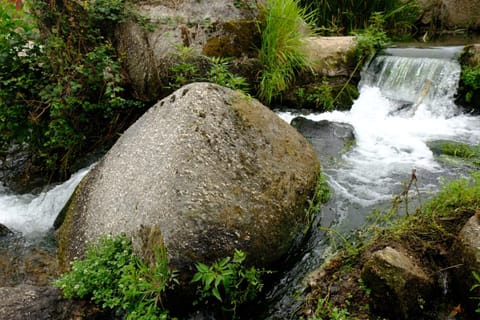 River view