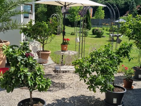 Day, Garden, Garden view