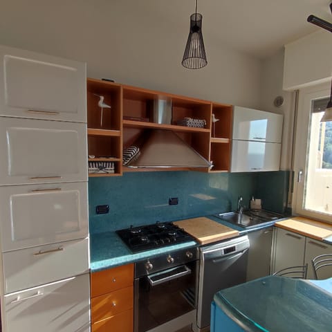 Kitchen or kitchenette, dishwasher, minibar, pet friendly, stove