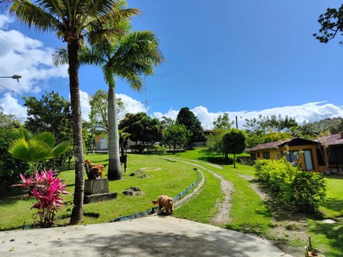 View (from property/room), Garden view