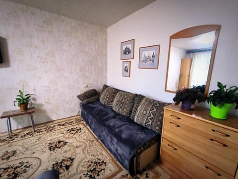 Уютная квартира возле ТЦ Вавилон, Ж/м Солнечный, Малиновского 12, 1-к Apartment in Dnipro