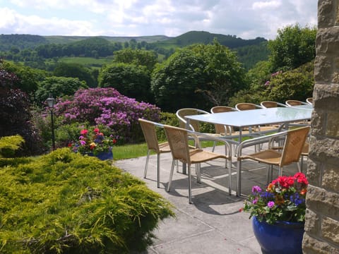 Patio, Natural landscape, Balcony/Terrace, Dining area