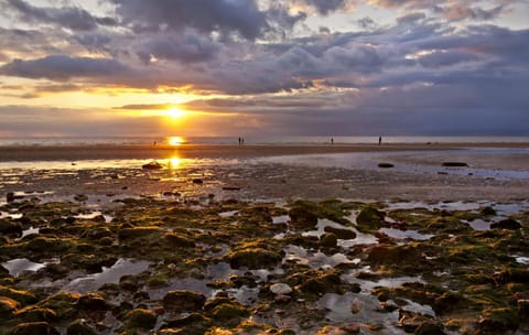 The BeeHive House in Hunstanton