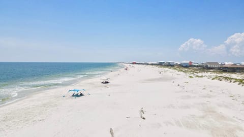 Surfin' Bird House in Dauphin Island