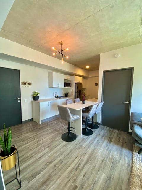 Homy & Elegant Unit, Two Rooms-Near to the Airport Condo in San Jose