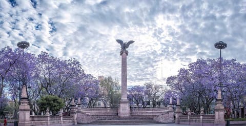 Nearby landmark, Spring, Garden