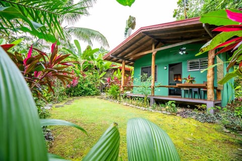 Macaw Villa - Riverfront With A Pool House in Uvita