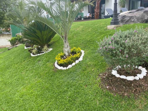 Garden, Inner courtyard view