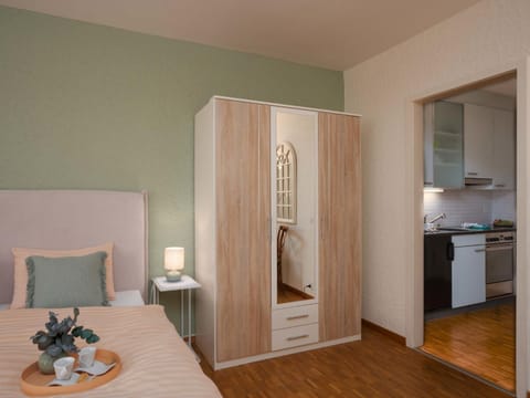 Apartment Double Room Classic-8 by Interhome Apartment in Ascona