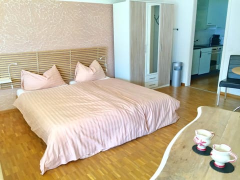 Apartment Double Room Classic-8 by Interhome Condominio in Ascona
