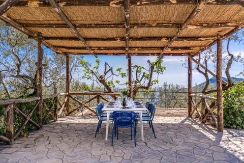 Patio, Natural landscape, Garden, View (from property/room)