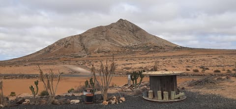 Dos Gatos Fuertaventura House in Castillo Caleta de Fuste