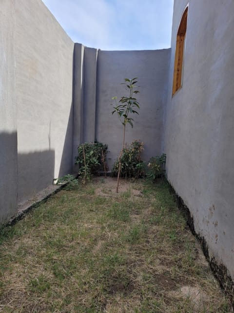 Garden, Garden, Balcony/Terrace