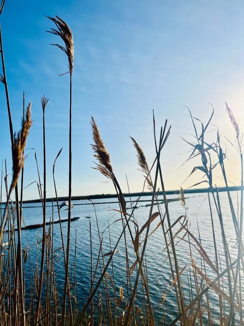 Day, Natural landscape