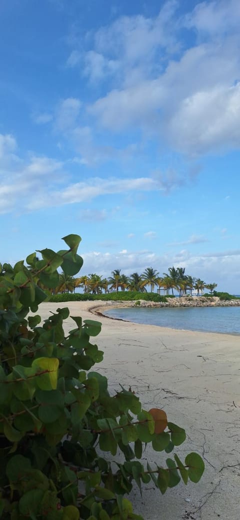 Apartamento nuevo Cap Cana Apartment in Punta Cana